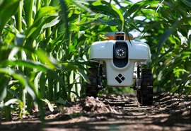IA ajuda produtores rurais a tomar decisões mais assertivas