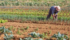 Nordeste é a 3° região que mais gerou empregos no setor agropecuário