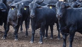 CMN reduz juros para cooperativas rurais no Pronaf