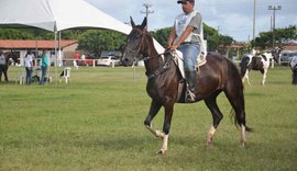 Mangalarga e Campolina farão shopping na Expoagro 2019