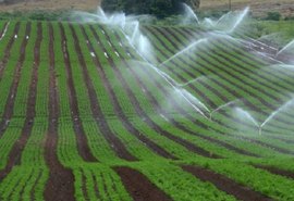 Brasil demorará 30 anos para incorporar áreas aptas à irrigação