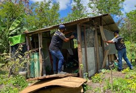 Semscs derruba quatro barracos ilegais em área verde do Parque Municipal