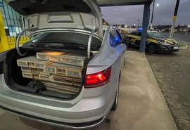 PRF flagra homem transportando 550 pássaros silvestres em São Sebastião