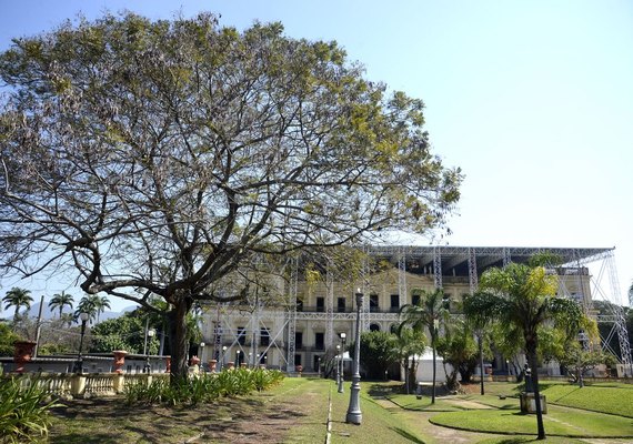 Reconstrução do Museu Nacional entra em nova fase