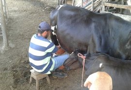 Cooperativa de Produção Leiteira de Alagoas marca presença na 38ª Expo Bacia