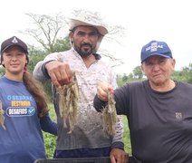 Cadeia produtiva do camarão avança em Alagoas com apoio do Senar