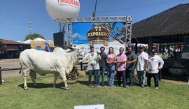 Criadores de AL e RN ganham grande campeonato de nelore na 71ª Expoagro