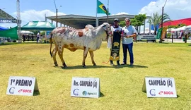 Expoagro 2024 promete recordes e mais atrações para o público e criadores