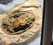 Sepultura viking revela vestuário preservado de jovem há 1.300 anos na Dinamarca