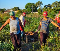 25ª Feira da Reforma Agrária reunirá mais de 150 camponeses em Maceió