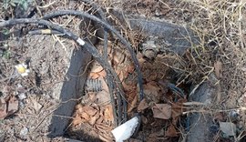 Cerca de 500 metros de cabos são furtados em viaduto de Maceió