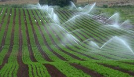 Brasil demorará 30 anos para incorporar áreas aptas à irrigação