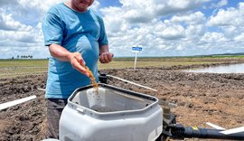 Ações continuadas do Governo de AL preparam região para fortalecer cadeia produtiva da rizicultura
