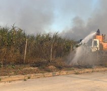 Incêndios criminosos em canaviais causam danos em Alagoas
