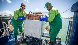 Ecoboats retiram mais de 260 toneladas de resíduos de biomas marinhos no primeiro semestre de 2025