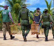 Batalhão Ambiental da PM resgata mais de 3.700 animais silvestres mantidos em cativeiro em 2024