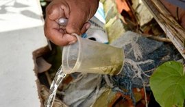 De acordo com o relatório de índices, 85% dos focos do Aedes aegypti estão dentro das casas