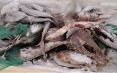Alimentos apreendidos