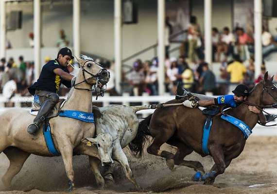 Liminar que permite vaquejadas no Pilar é confirmada por TJ