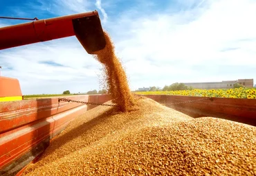 Produção de grãos deve alcançar 353,4 milhões de toneladas em 2025/26