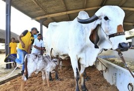 Expoagro 70 anos: exposição é campo fértil para evolução do setor