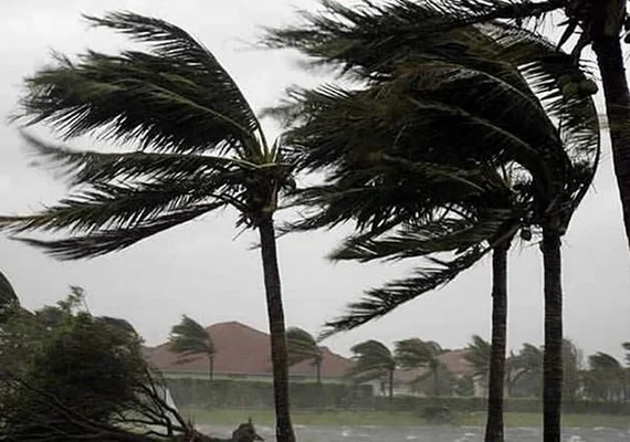 Municípios do interior de Alagoas entram em alerta para ventos fortes