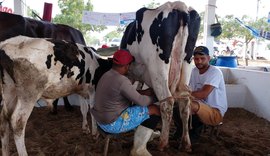 CPLA: torneios leiteiros estimulam o fortalecimento da agricultura familiar