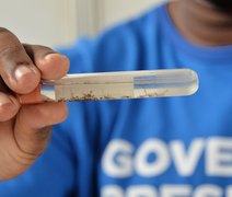 Ministério da Saúde aponta queda de 58% nos casos de dengue em Alagoas