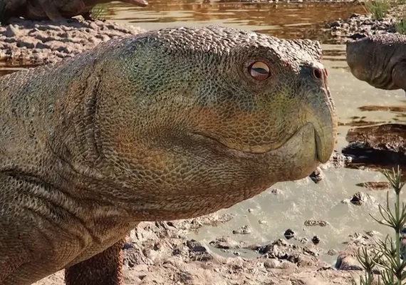 Réptil de 230 milhões de anos com bico é descoberto no Sul do Brasil