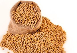 Aumento nas exportações de soja Impulsiona mercado