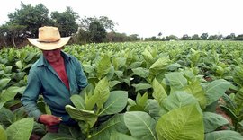 Municípios podem solicitar ingresso no Cadastro Nacional da Agricultura Famíliar