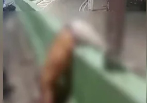Motociclista morre após acidente e fica pendurado no Viaduto João Lyra