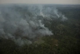 Risco de incêndio fecha 80 Unidades de Conservação em São Paulo