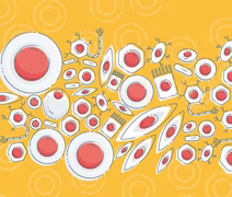 Homem é curado do HIV após transplante de células-tronco em caso considerado inesperado