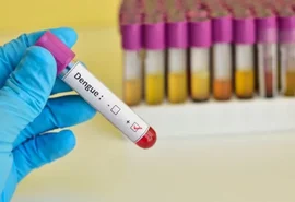 Brasil supera marca de 2 milhões de casos de dengue em 2024