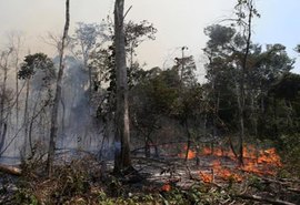 Conselho anuncia operação em áreas protegidas da Amazônia Legal