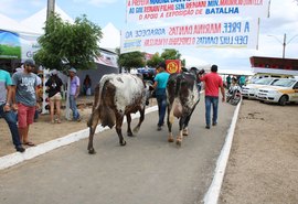 38ª Expo Bacia Leiteira vai integrar o setor em Alagoas; evento começará no próximo dia 06