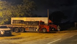 Fisco alagoano flagra cerca de R$ 290 mil em mercadorias irregulares