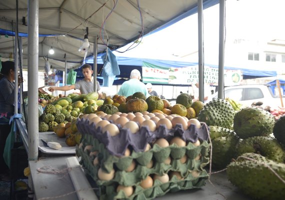 26ª Feira da Fetag acontece na sexta-feira (1º) e sábado (2)
