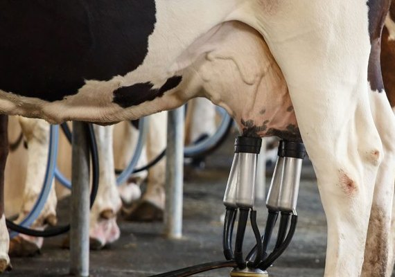 CPLA comemora aprovação de PL que altera limite do PAA Leite