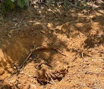Polícia apura se jovem morto em fazenda foi vítima de tribunal do crime