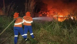 Situação de emergência por incêndio florestal cresceu 354% em agosto