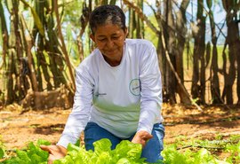 ASA apresenta novos programas de saneamento rural e produção de energia durante o X EnconASA