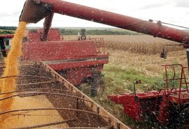 Safra de grãos 2025/2026 deve atingir volume recorde de 356,3 mi de toneladas