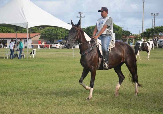 Mangalarga e Campolina farão shopping na Expoagro 2019