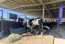 Parque da Pecuária abre as portas para a 13ª Expoalagoas Genética