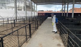 Parque da Pecuária, em Maceió, passa por desinfecção para receber a 75ª Expoagro