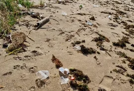 Paraíso do litoral alagoano amanhece com toneladas de lixo em suas praias