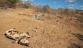 38 municípios do Sertão de Alagoas encontram-se em situação de emergência