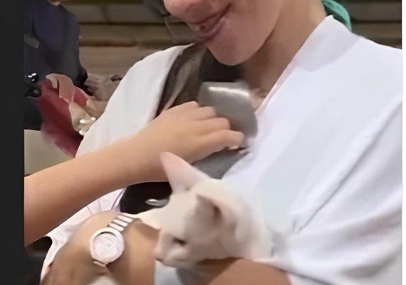 VÍDEO: Mulher defende gato que foi agredido com chute no Pará